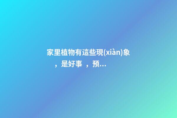 家里植物有這些現(xiàn)象，是好事，預(yù)示你家要發(fā)大財(cái)了！